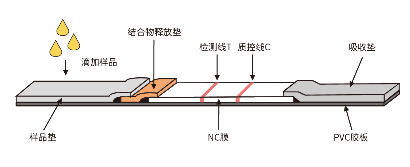 1649864730435039lBEc.png 圖片4.png