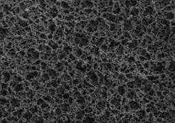 1649864790216536Ue2X.png 圖片6.png