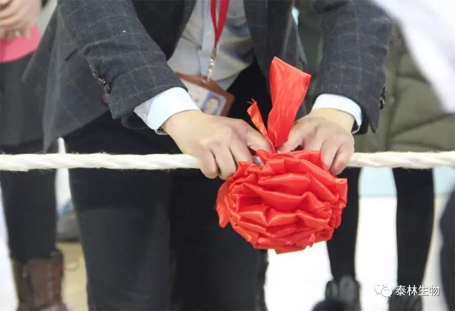 17689613755826773JA5.jpg 2.jpg