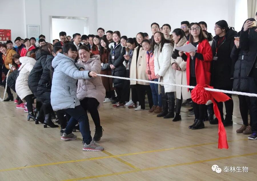 1768961383884534fRYA.jpg 3.jpg