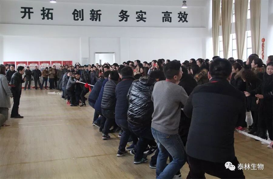 176896139210189225tE.jpg 5.jpg